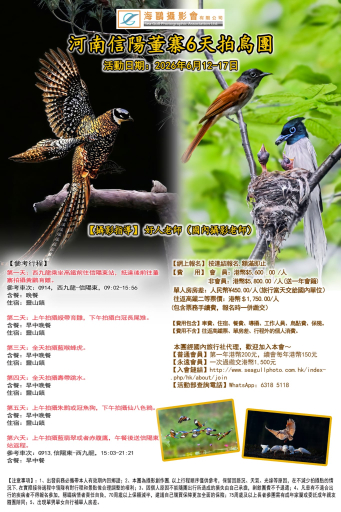 河南信陽董寨6天拍鳥團